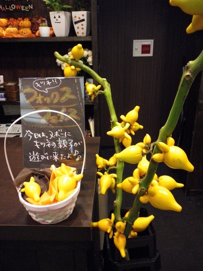 ＭＩＤＯＲＩ店「親子」