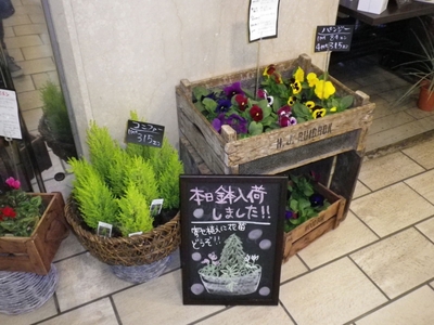 ＭＩＤＯＲＩ 店