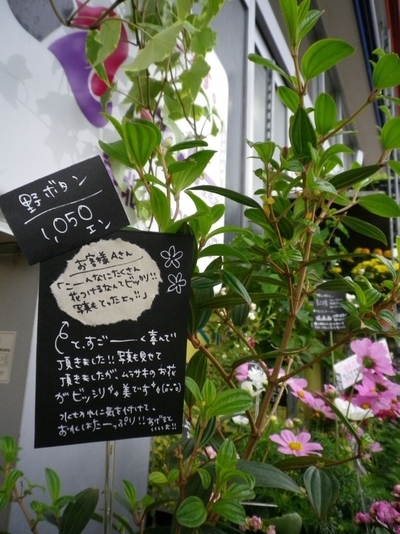 更北店