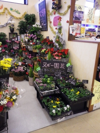 安茂里店 「ヌボー園芸 Part2」