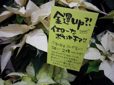 更北店「黄色は･･･」