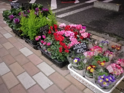 篠ノ井「お店の外の鉢」