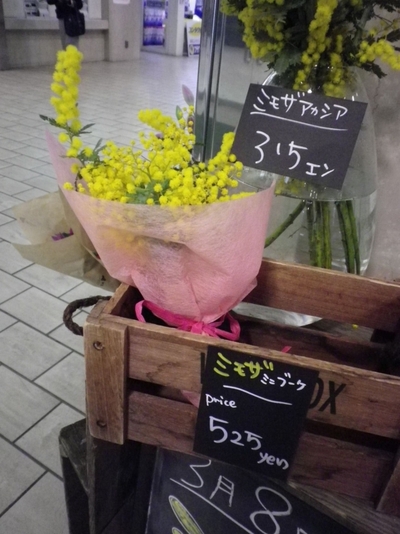 MIDORI店 「3月8日はミモザの日」