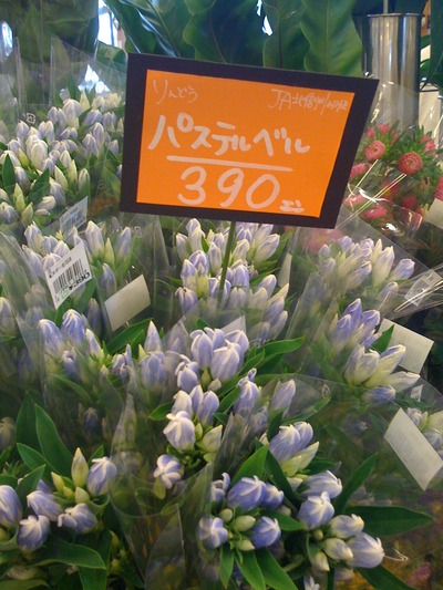 安茂里店
