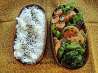 お父さん弁当（2013年3月、4月）