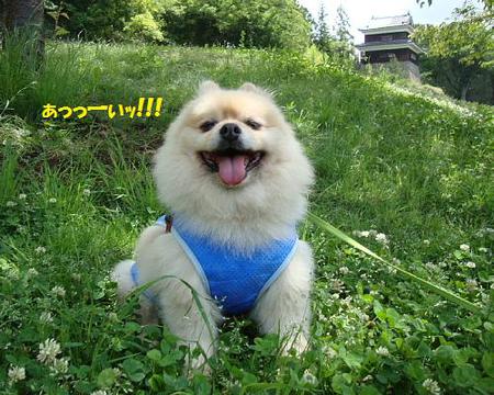 間もなくお昼ですウエダジョー♨