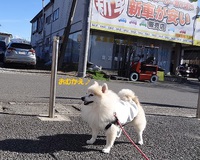 車検･Oil交換[④輪]その➁(終)♨