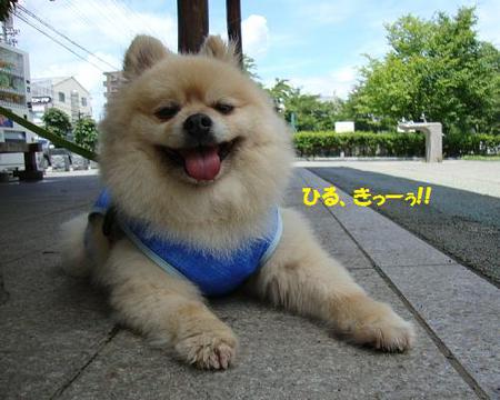 間もなくお昼ですウエダジョー♨