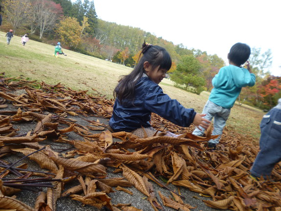 「あきふゆぼっこ」で思いっきり遊ばせませんか？ママフェスタでチラシ配布！