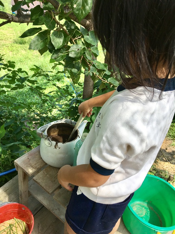 先日、ぼっこがニュースに！