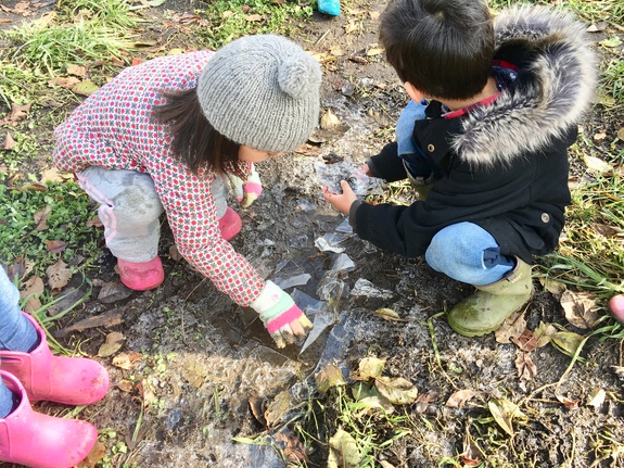 氷の季節