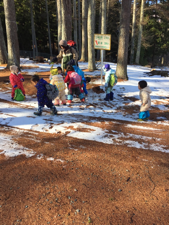 雪の森を探検