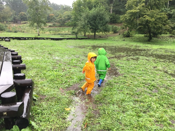 雨の大池。