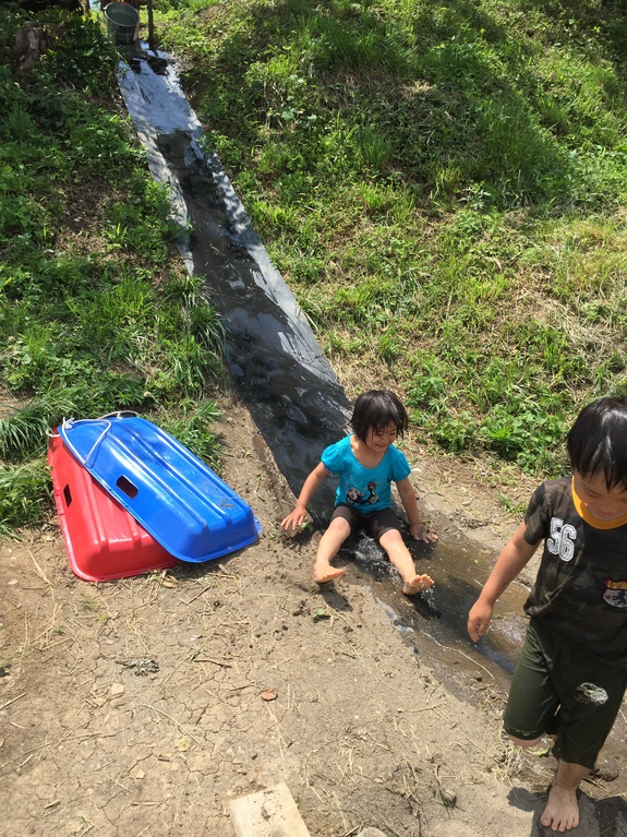 夏本番、暑いですね！