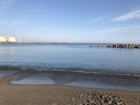 海釣り～