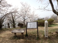 光城山～