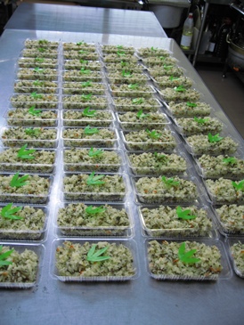 野沢菜おこわ