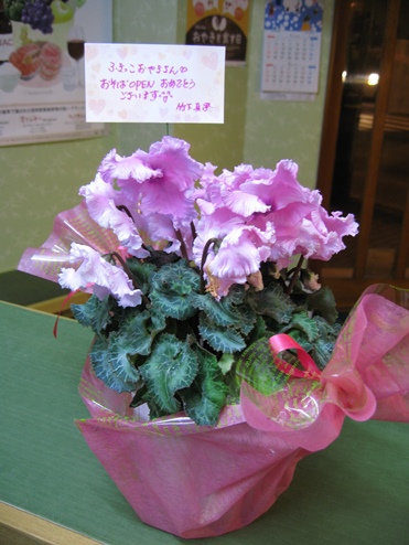 祝花