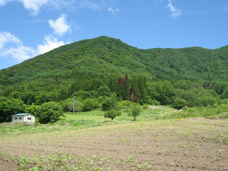 連休明け