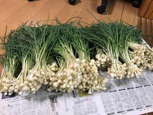 丸一日の成果