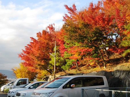 終わりの紅葉