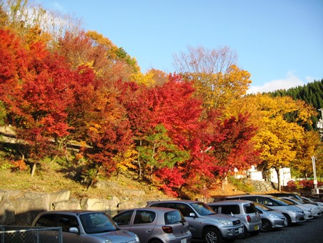 終わりの紅葉