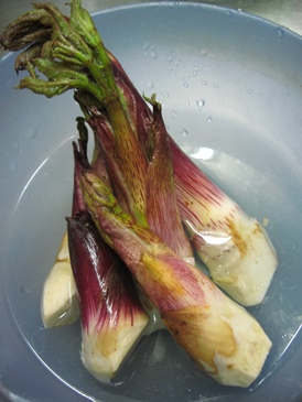 明日は臨時休業です