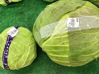 お得？なキャベツ
