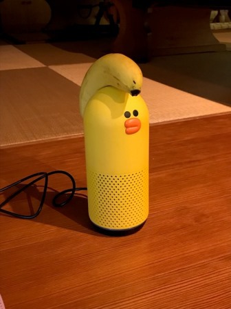 壊れた母のおもちゃ