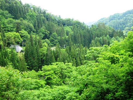 お休みは忙しい