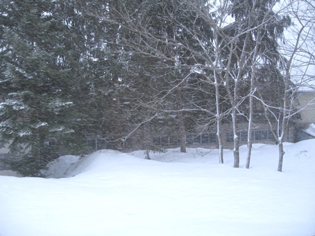 雪景色