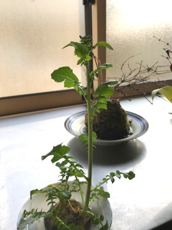 命あるもの
