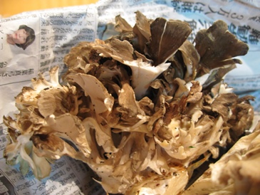 天然の舞茸