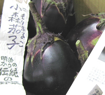 小森茄子の続き