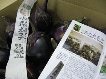 小森茄子