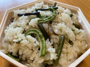 お題は「山菜」