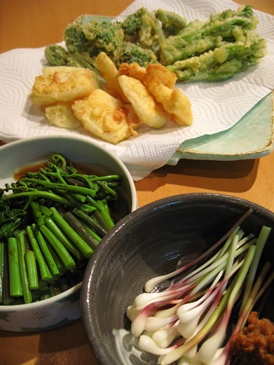 山菜