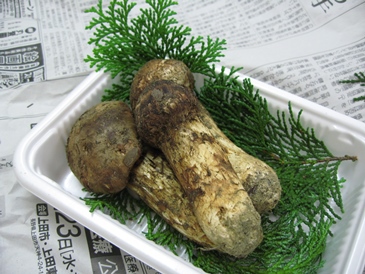 化粧