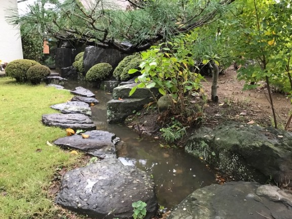 台風の置き土産