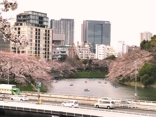 一足早いお花見