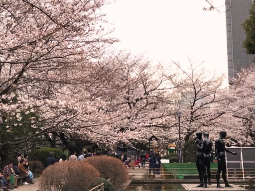 一足早いお花見
