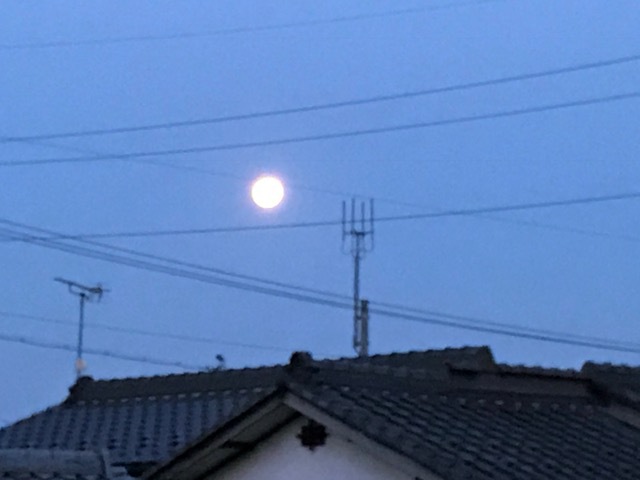 今朝の月