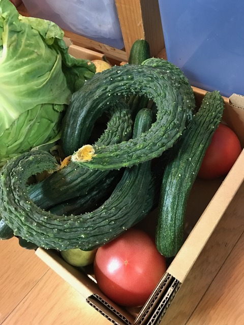たなぼた