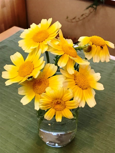 何の花？