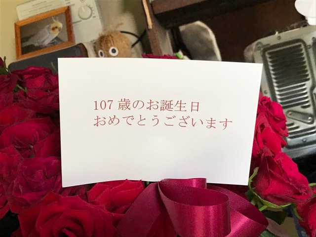 107本のバラ