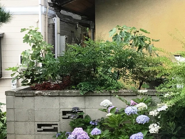 やんちゃな母