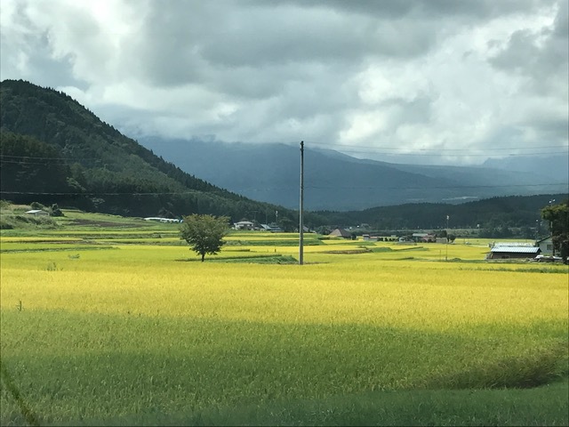 これから
