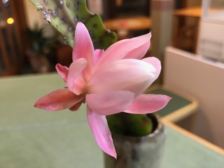 年末前の大掃除