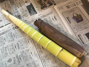 破竹のむき方