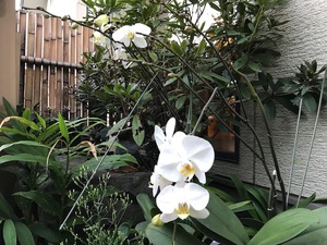 無知なばかりに